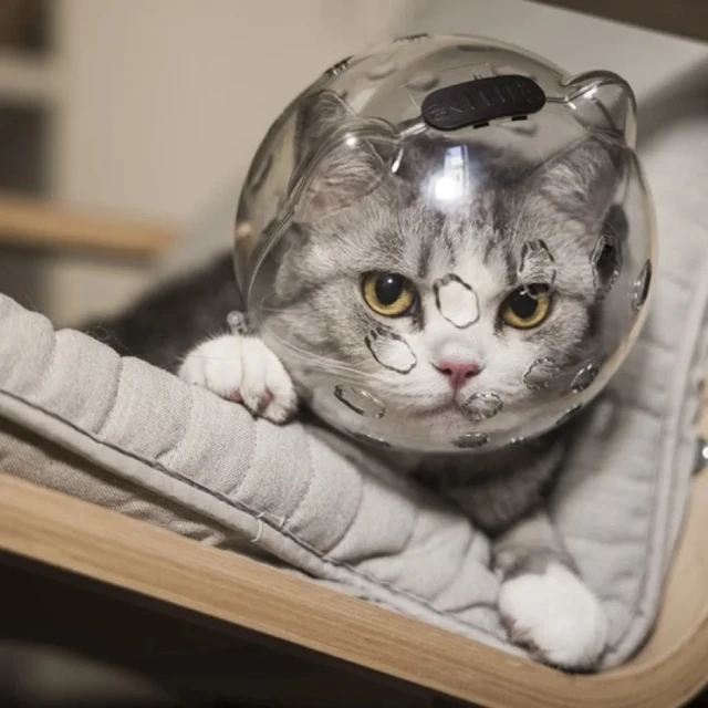 Breathable and Anti-Licking Space Hood Mask Cover for Cat Grooming - Protective Anti-Bite Hood for cat Bath Supplies and Groomin