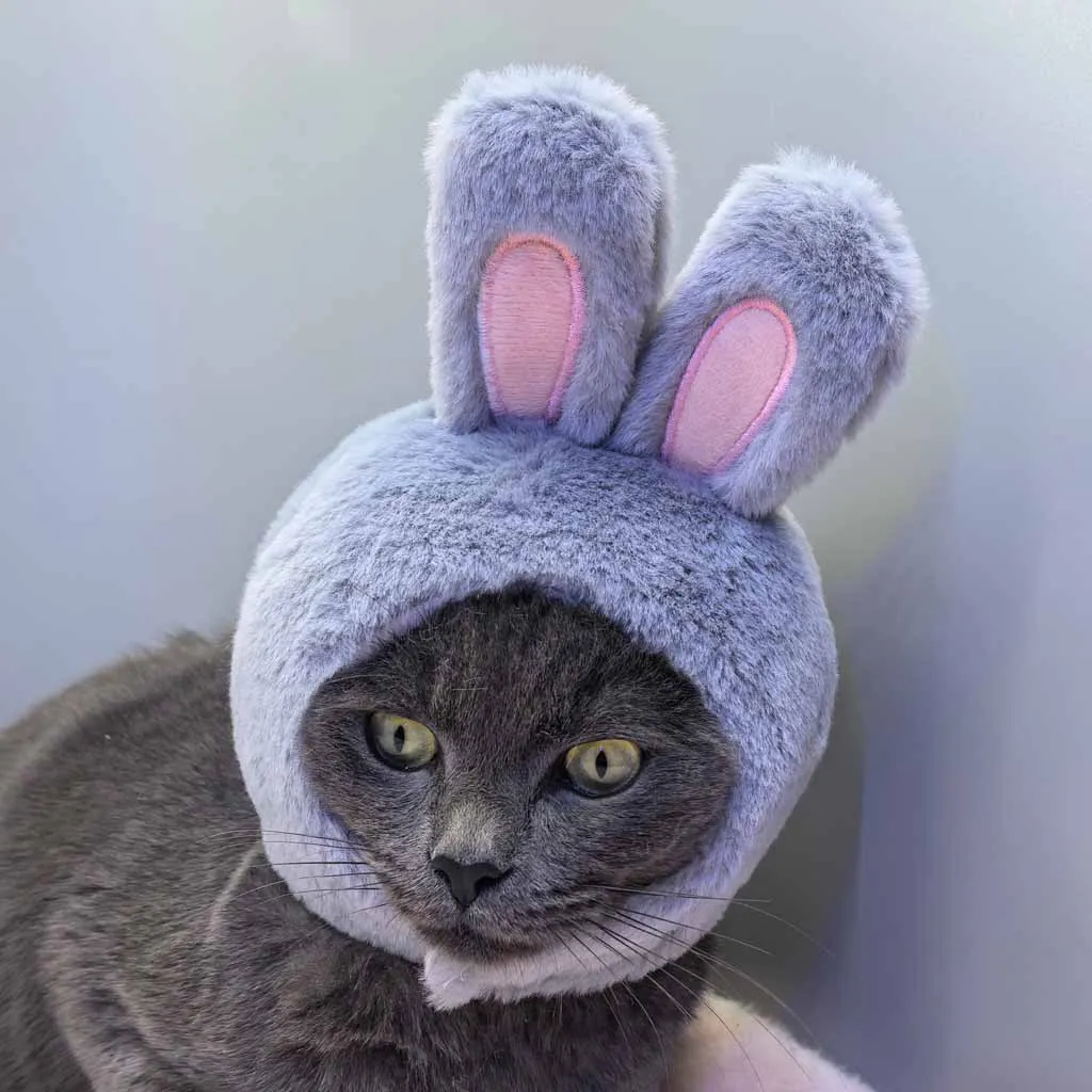 Plush cute rabbit hat for cats and small dogs cat decoration accessories soft pet supplies cat head cover hat