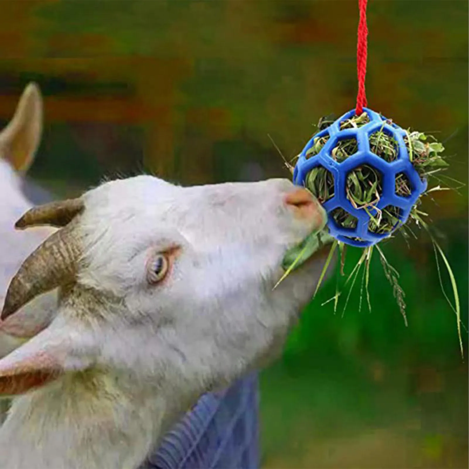 Hanging Hay Feeder Slow Feed Hay Ball Feeder Durable TPR Horse Goat Hay Feeder Toy Relieve Stress 14cm for Horse Goat Sheep