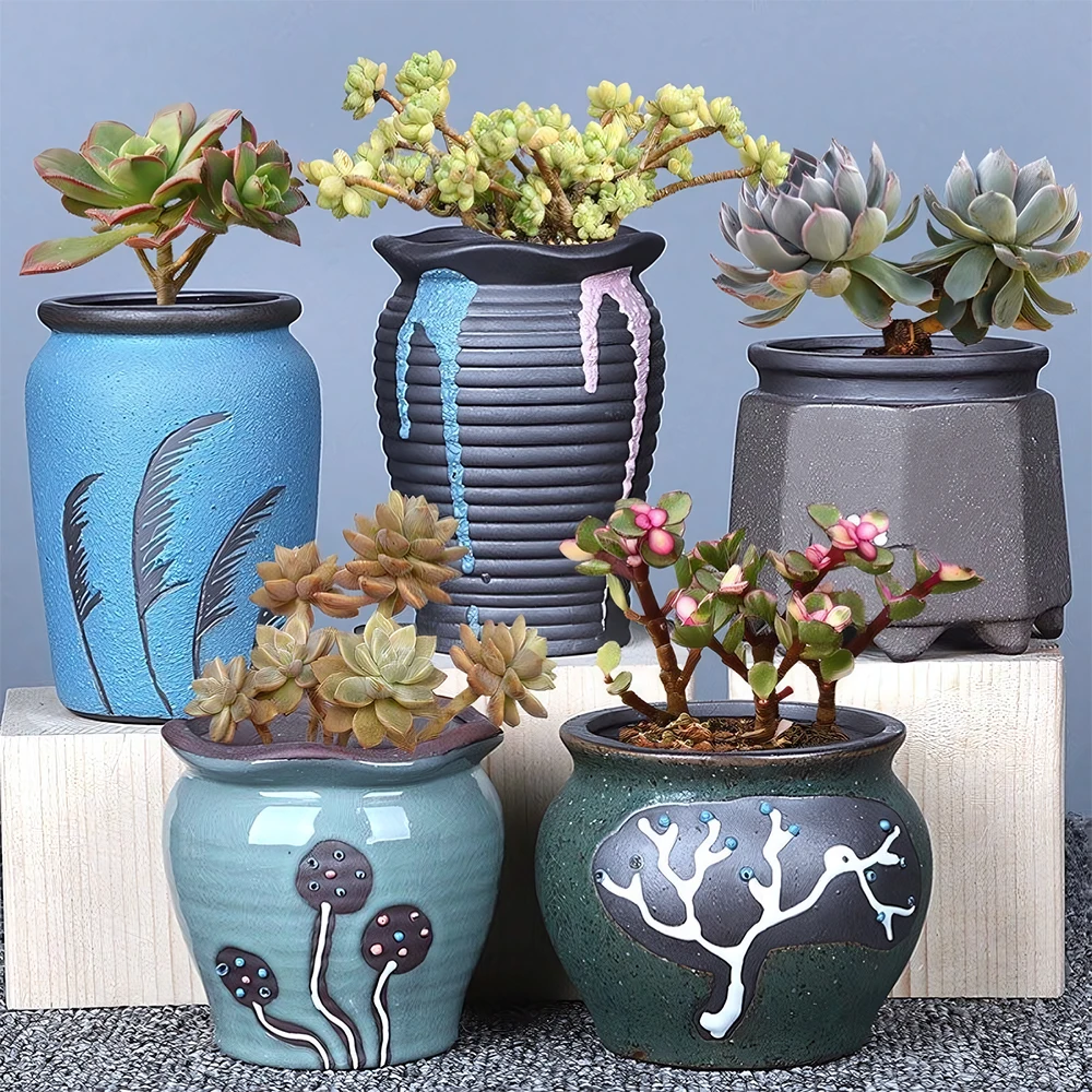 Pot de fleurs en céramique pour plantes succulentes
