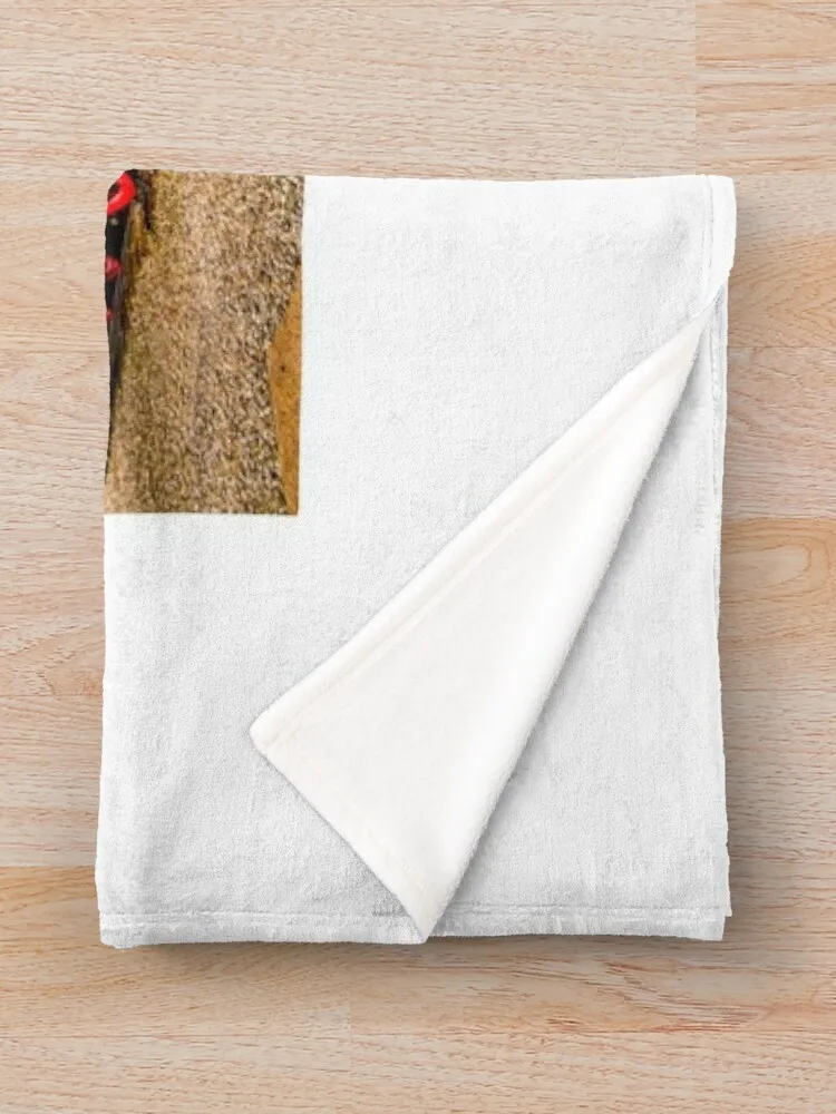 �� ��ȣ 60 ������ ���, ǫ���ϰ� �ε巯�� ���� ������ ���� ���