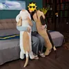 85cm Lovely Soft Down Cotton Dog Plush Pillow Doll Stuffed Pet Doll Baby Sleep Pillow Accompany Gift for Girlfriend 2