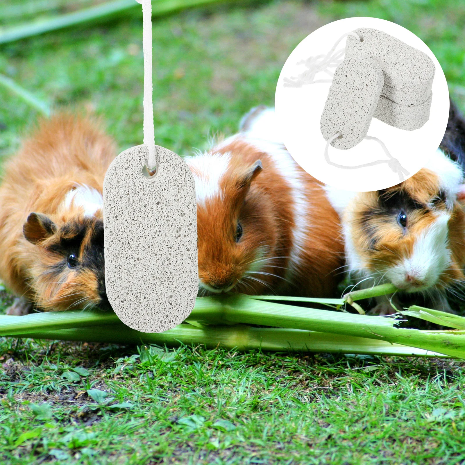 

Hamster Lava Teeth Pumice Stone Bunny Chew Toys Molar Rabbit Grinding Volcanic Rocks