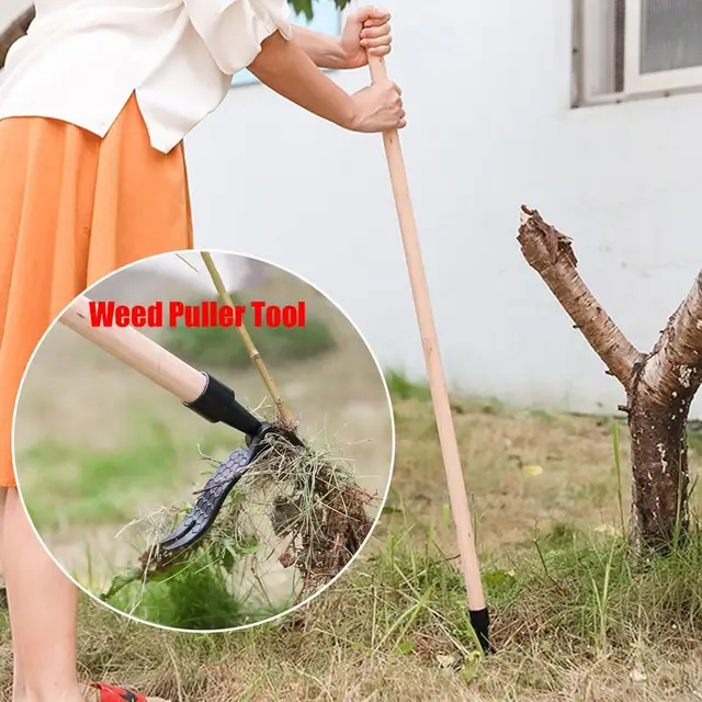 Gyomhúzó Szerszám Kézikönyv Gyomnövényes Gyom Eltávolításához Gyakorlati Gyomiás Ásó Szerszámok Kézi Gyomnövények A Háztáji Pázsitok Autópályáihoz - Image 6
