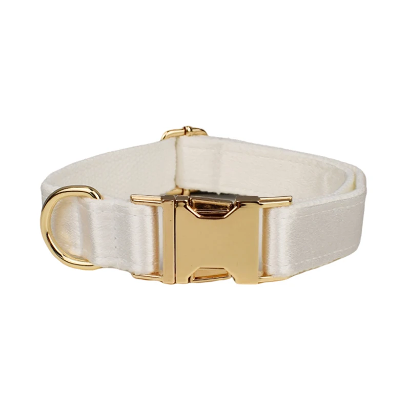 dog collar