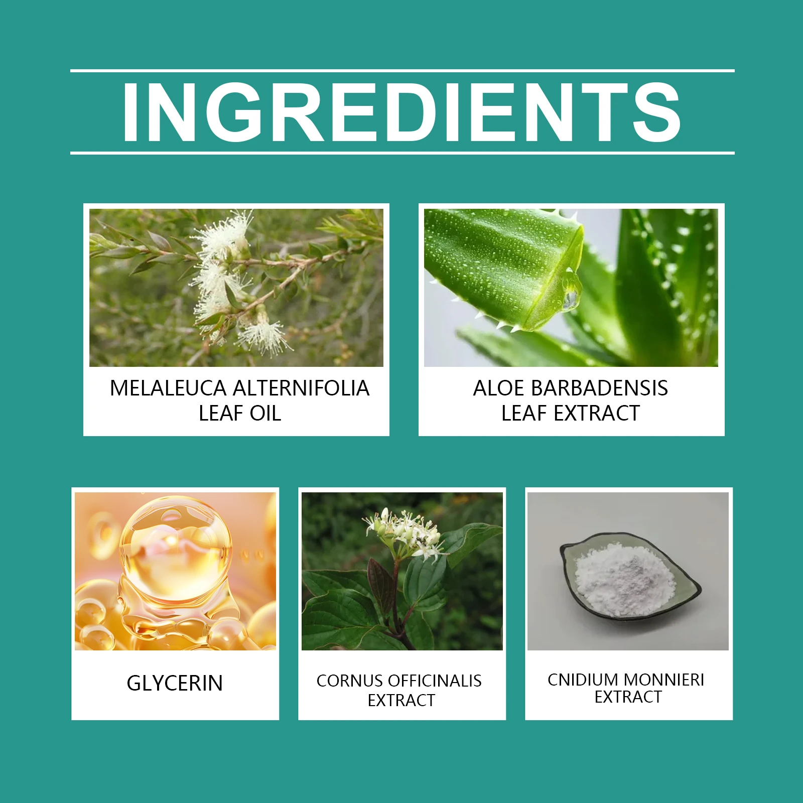 يرطب البشرة العشبية، ويخفف من الجفاف والانزعاج، كر...