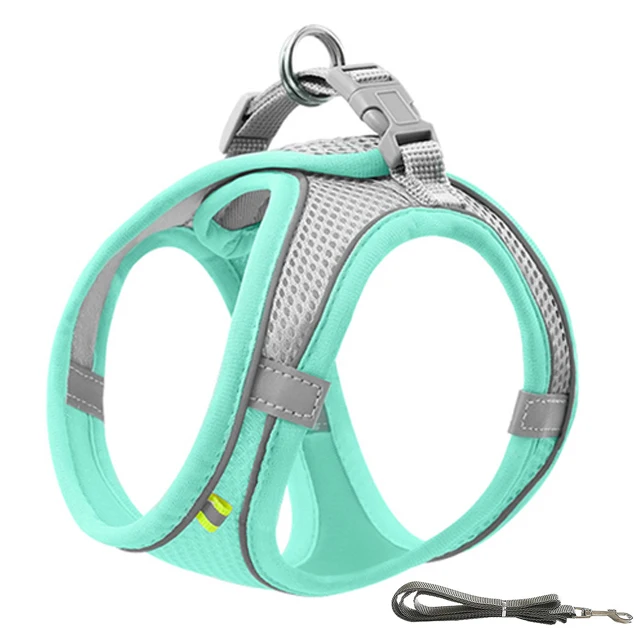 Green with rope