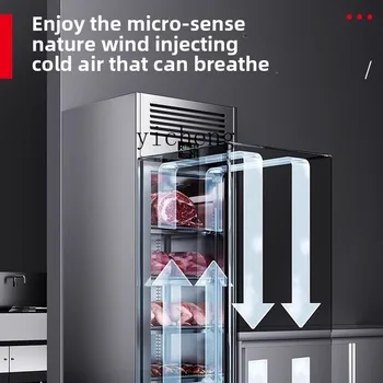 Large capacity antibacterial thawing commercial thawing cabinet, high-voltage electrostatic low-temperature refrigeration