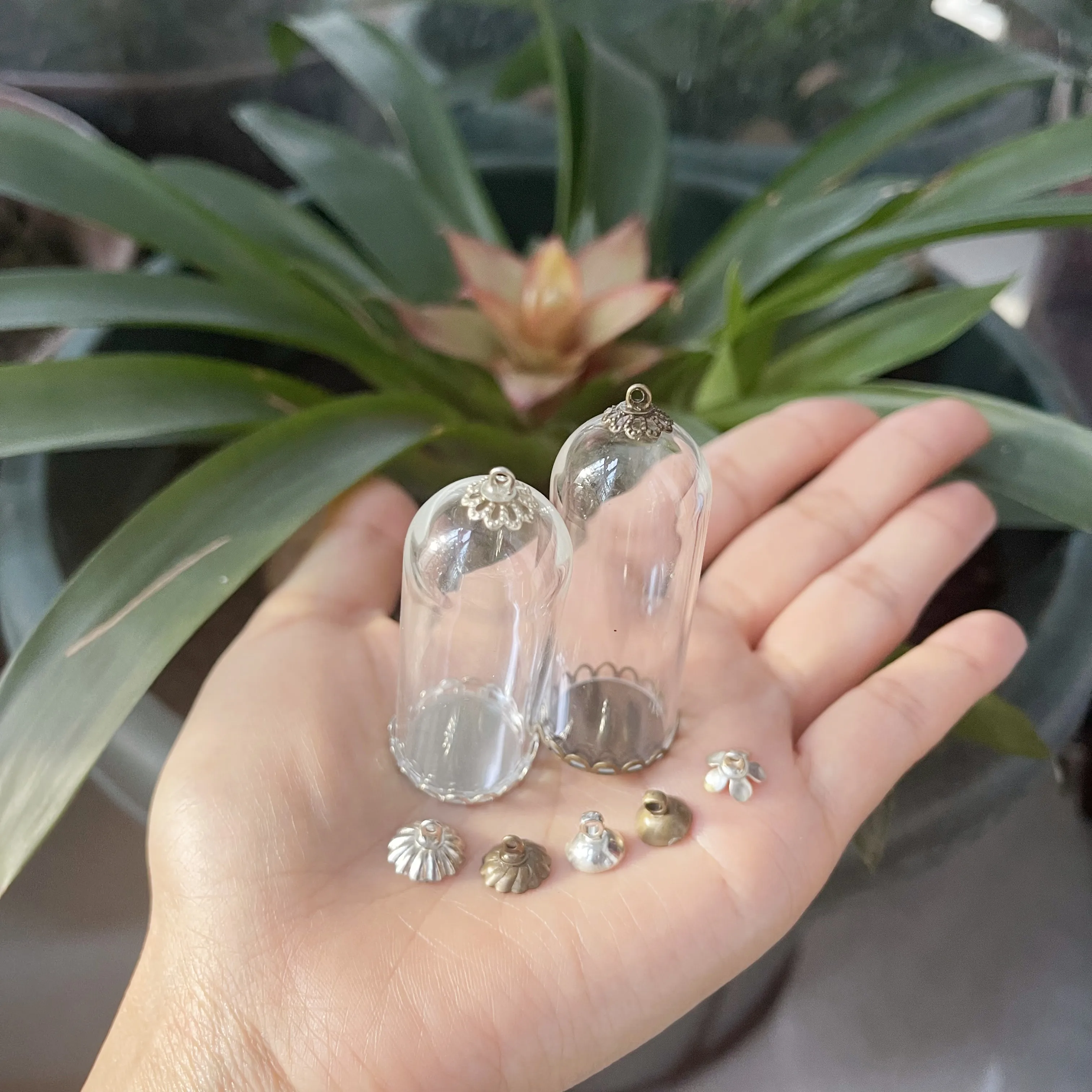 5/8/10X 50x20mm Clear Tube Bell Jar Glass Cover Dome Glass Vial Pendant Lace Base Home Room Table Display Decor Flower Ornaments 4