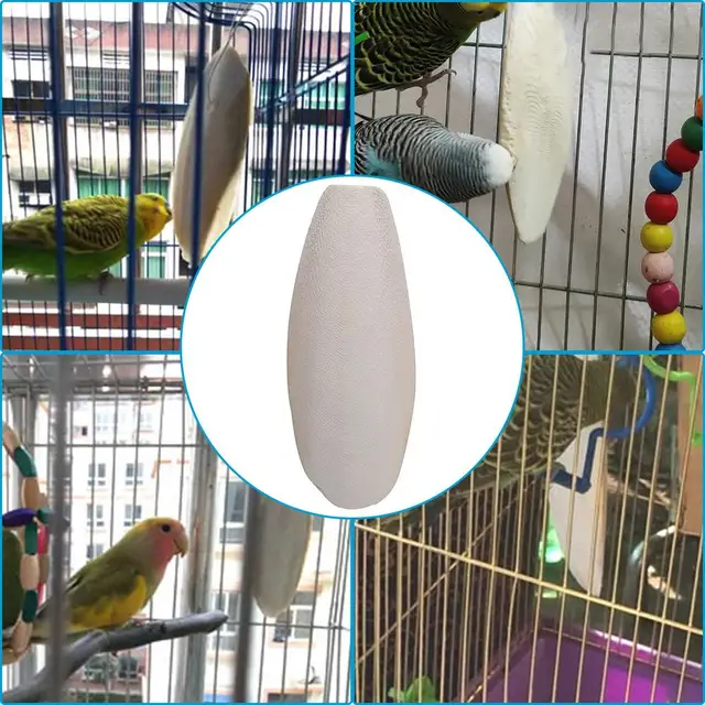 20 Ossi Di Seppia Naturali Per Uccelli | Giocattolo Da Masticare Per Pappagalli, Canarini, Tartarughe | Fonte Di Calcio - Foto 8