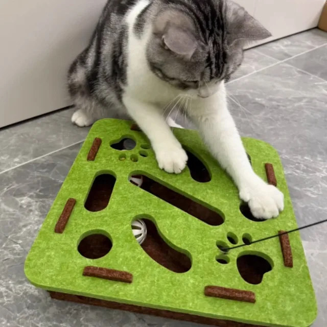 "Interactive Cats Puzzle Toys - Mental Stimulation Maze Box&Sensory Games for Indoor Kittens | Fun Brain Teaser for Smarts Cats" 2