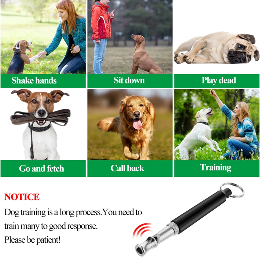 Dog Training Whistle 1