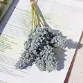 Color 4