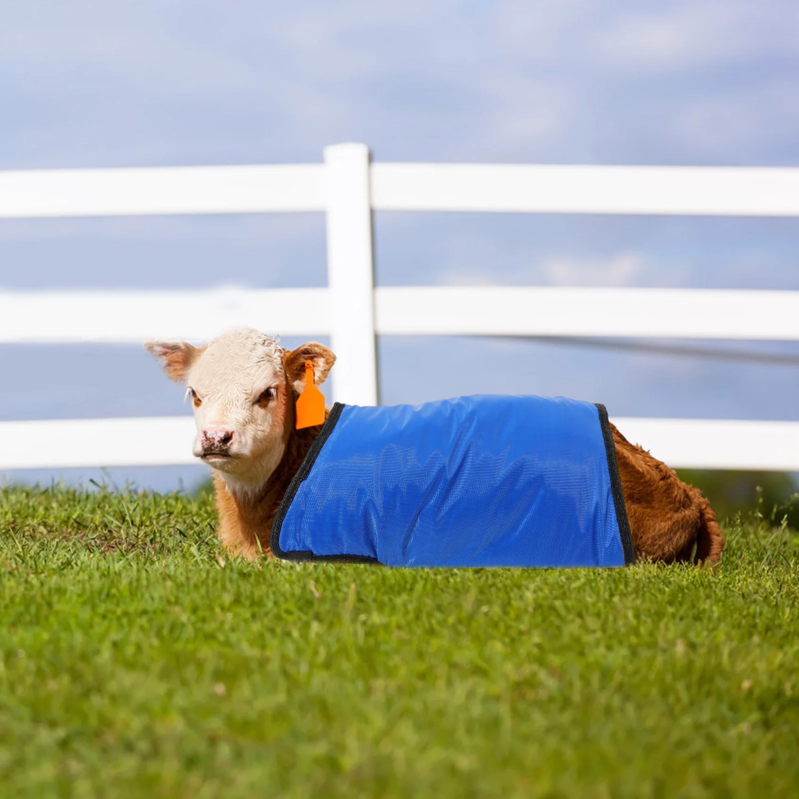 Cow Calf Warm Clothing Cow Farm Supplies Cold Prevention Cow Coat for Farm