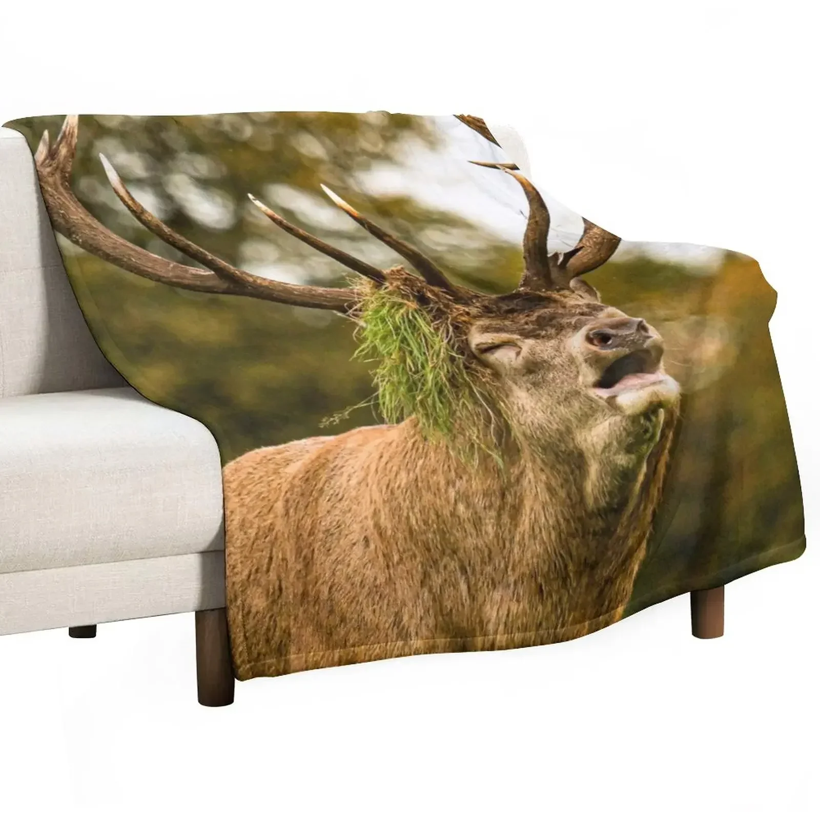 

The winner deer Throw Blanket Plaid valentine gift ideas Travel Blankets