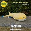 Sacabambaspis High Fidelity Jawless fish Plushie Armored Fish Plush Toys Lifelike Ordovician Fish Animals Simulation Stuffed Toy 1