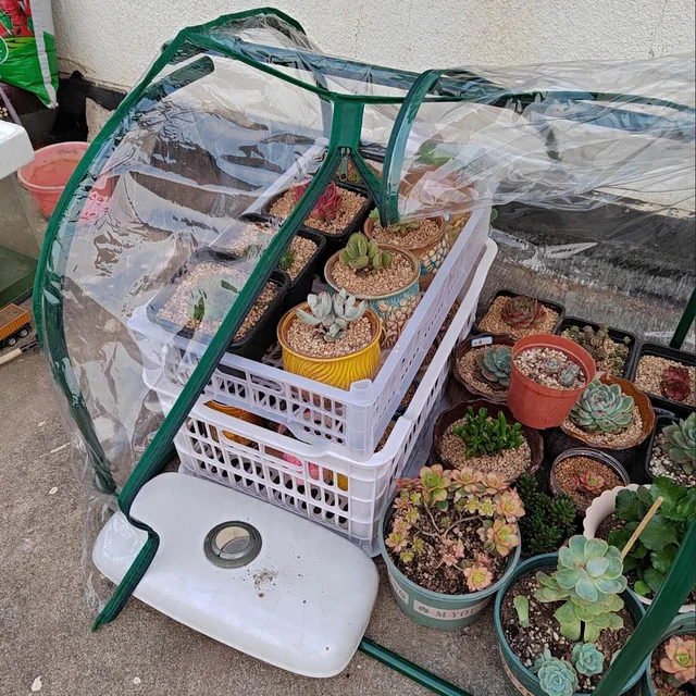 Portable Mini Greenhouse for Outdoors: Protect and Nurture Your Plants