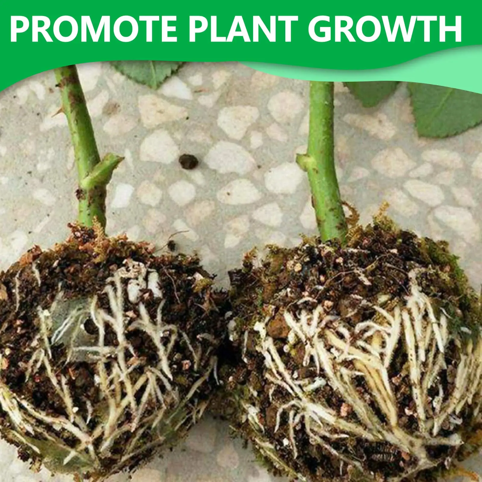 Plant Root Growing Box Ball Propagation Grafting Device Rooting High Pressure Box Breeding Reproduction Case with Ties 6Pcs plant rooting box plant rooting pot