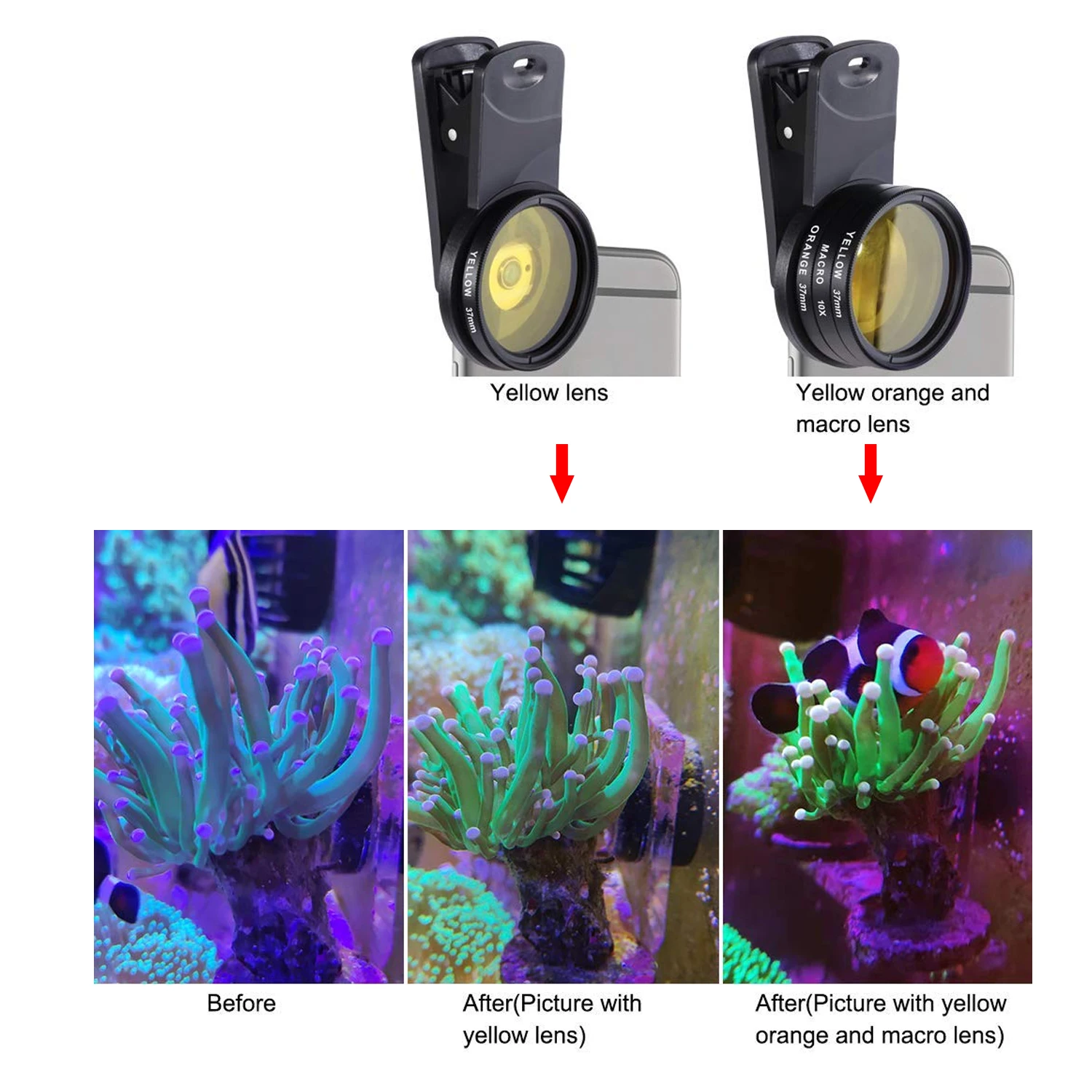 37/52mm Aquarium Lens Fish Tank Marine Saltwater Sea Water Coral Reef Lens Phone Camera Filters Macro Fish Aquatic aquarium lens