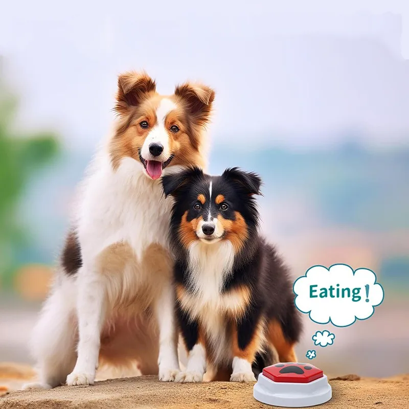 Dog Squeak Toys With Paw Print Hexagonal Recordable Talking Sound Button Dog Toy Interactive Voice Buttons For Communication Dog 5