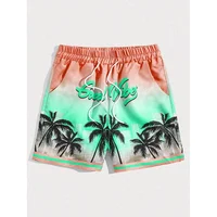 Summer Men's Shorts Quick Drying Hawaii Holiday Sports Swimming Trunks Fashion 3D Coconut Tree Printed Loose Sports Shorts 6XL 2