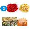 4-Layers Drying Fishing Net Foldable Hanging Vegetable Fish Dishes Dryer Bag Hanger Fish Fishing Flowers Buds Plants Organizer 4