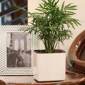 White Self Watering Planter, Water Indicator, Modern Decorative Planter Pot for all House Plants Flowers, Herbs, Vegetables 3