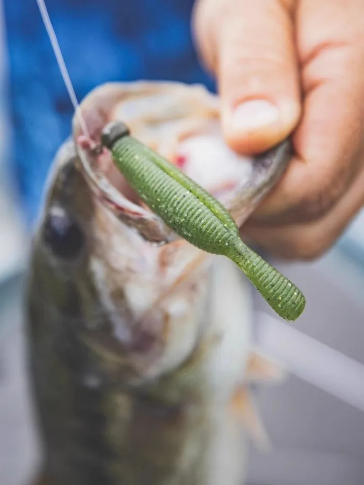 Yamamoto Senko – Esche Morbide A Forma Di Verme – Prodotto Negli USA Per La Pesca