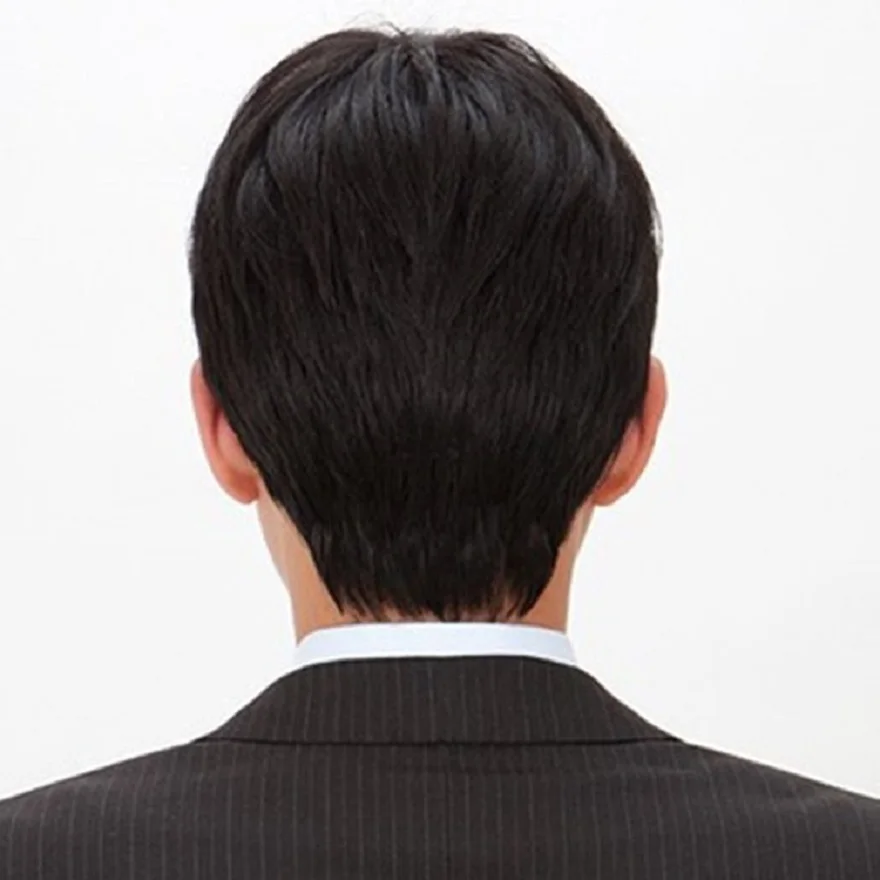 Mehepea tagantvaade, kandes sirgete ja tumedate juustega parukat, seljas pruun triibuline pintsak, valge taustaga.