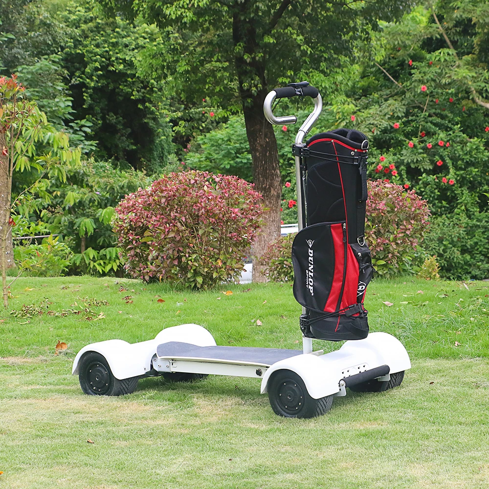 

New golf carts electric club car 1000w 60v eu warehouse golf electric skateboard