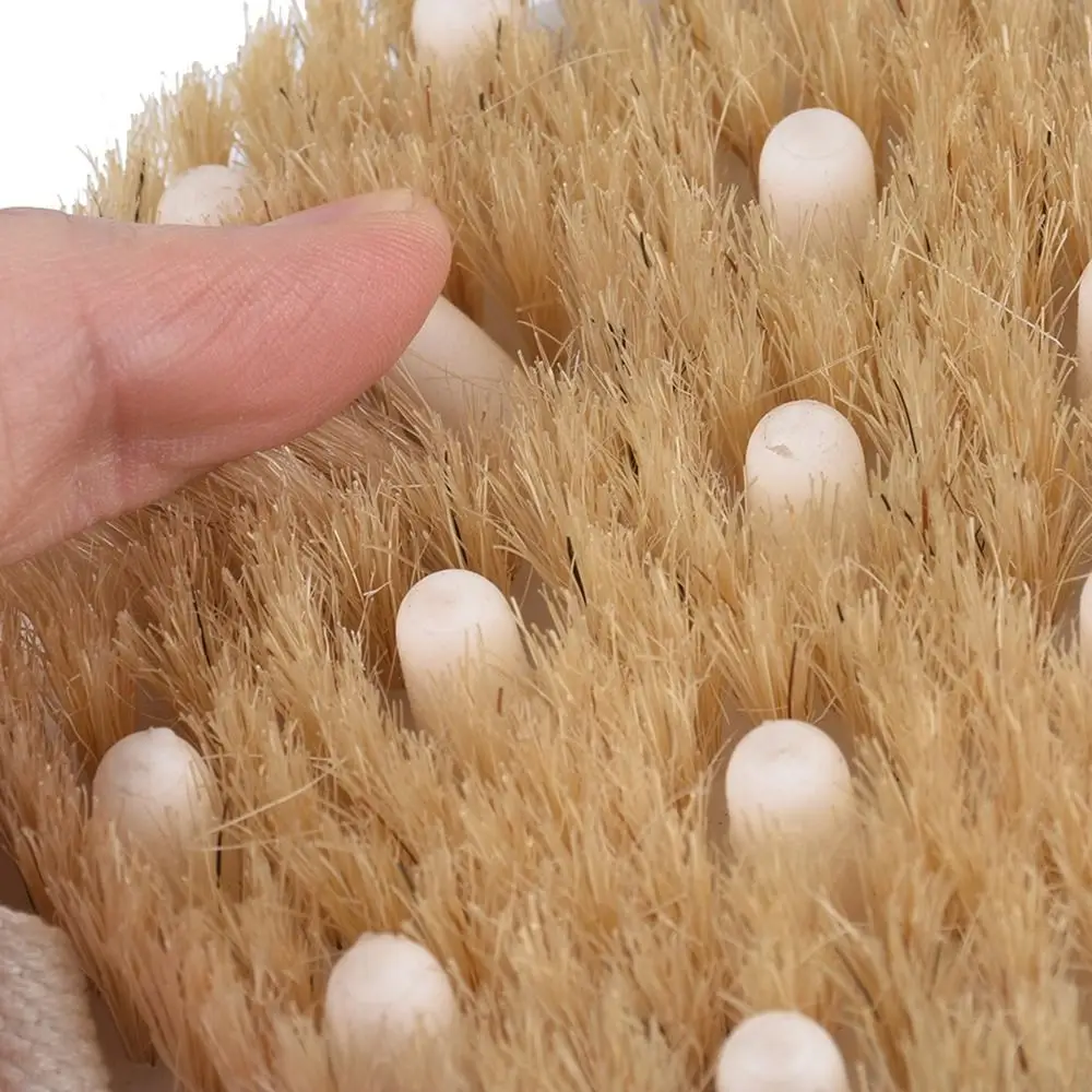 Shower Brush Soft Bristles Body Brush Cellulite Wet Dry Lymphatic Drainage Skin Exfoliating 4