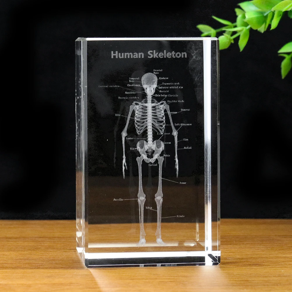 

1 шт. прозрачная лазерная гравировка 3D человеческий скелет Кристалл Имитация Модель домашнее украшение пресс-папье орнамент ремесла