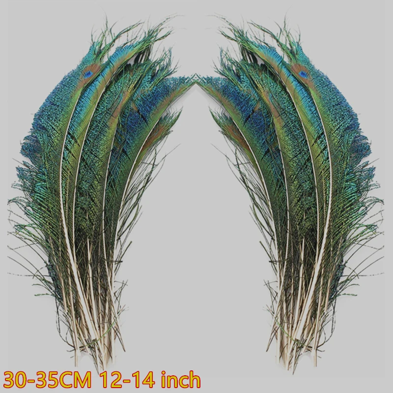 Hướng dẫn how to decorate peacock feathers at home bằng những cách độc