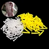 10pcs Farm Ranch Supplies Pig Umbilical Cord Clip Clamp Disposable Whelping Kit Dog Cat Rabbit Umbilical Cord Hemostatic Clip 1