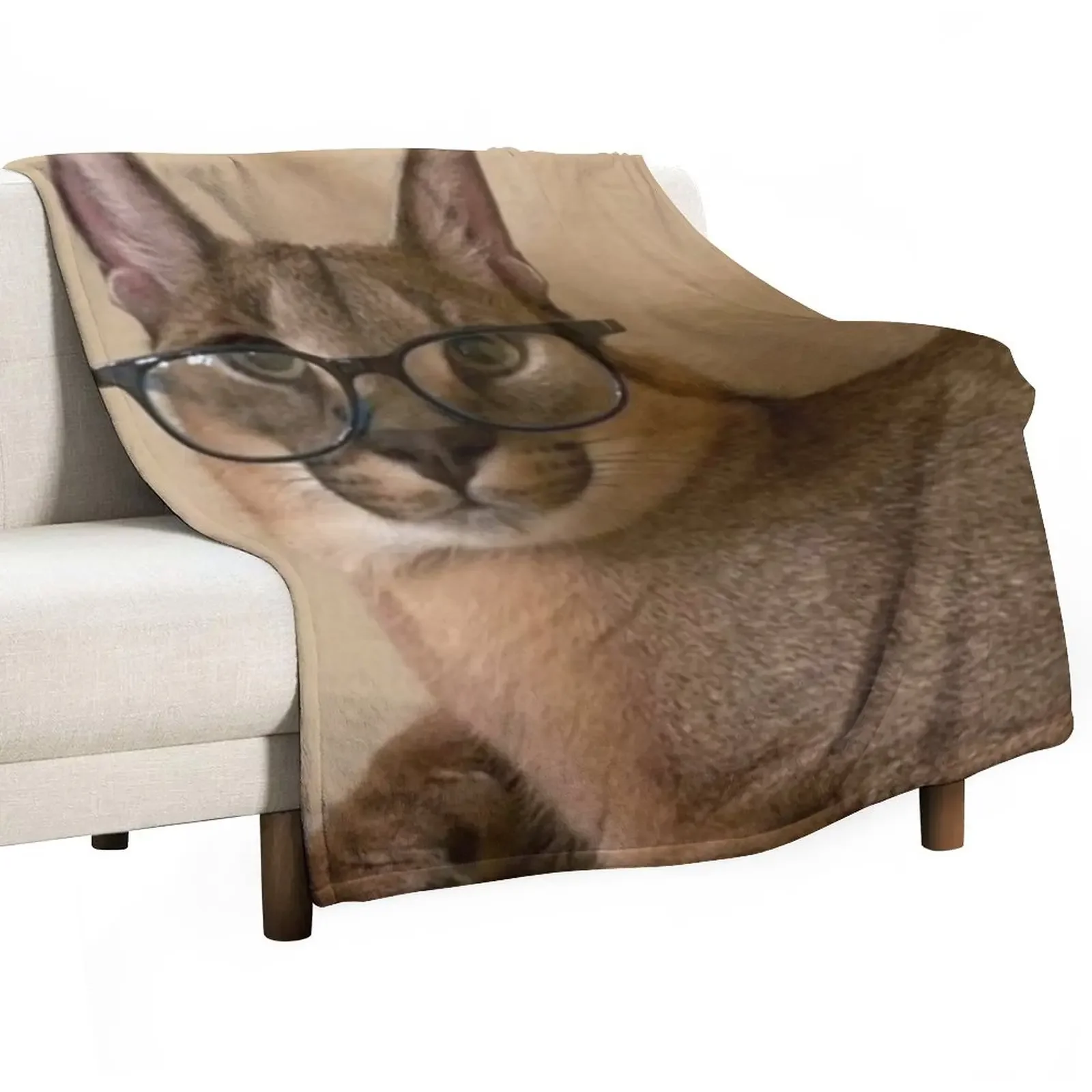 

New Studious Floppa Throw Blanket Vintage Fluffy Shaggy Blankets