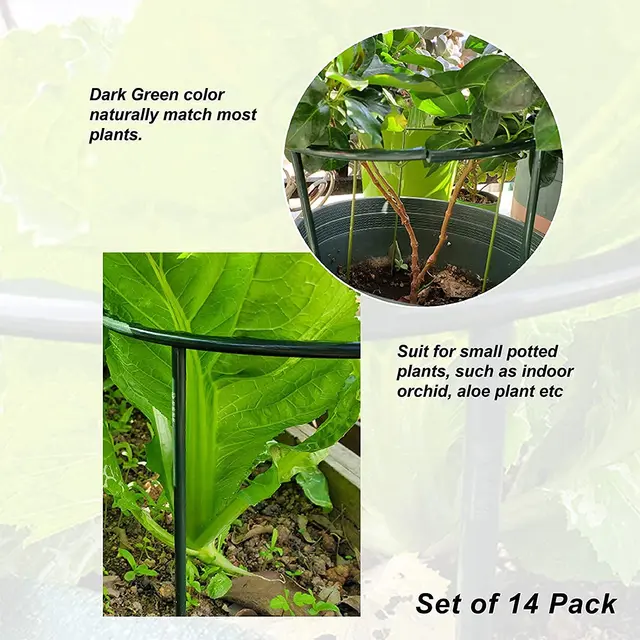 Új Növényi Támogató Halom Állvány Virágokhoz Oxidációellenes Félkör Üvegházak Elrendezés Rögzítő Rúd Tartó Kert Bonsai Szerszám - Image 5