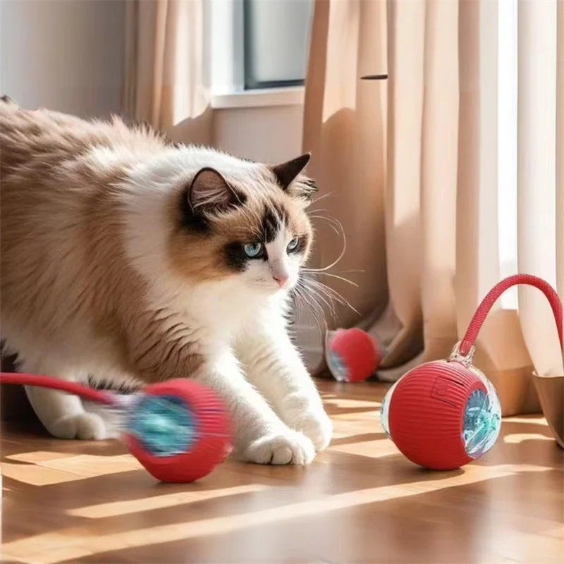 Interactive Cat Toys Ball Automatic Rolling Rechargeable Smart Obstacle Avoid Running Toys for Energetic Indoor Cats 8 Sdf96c50e9fb6409f96cd0def4c3e8db3M