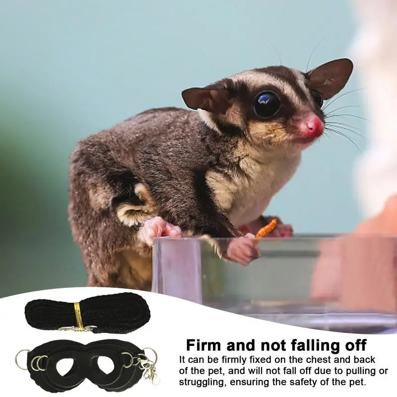 Sugar Gliders Vest and Leash 4