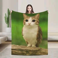 Internet Famous Meowl Cat Owl Meme Blanket Super Soft Velvet Lightweight For Sofa Bed Office Travel Picnic All Season