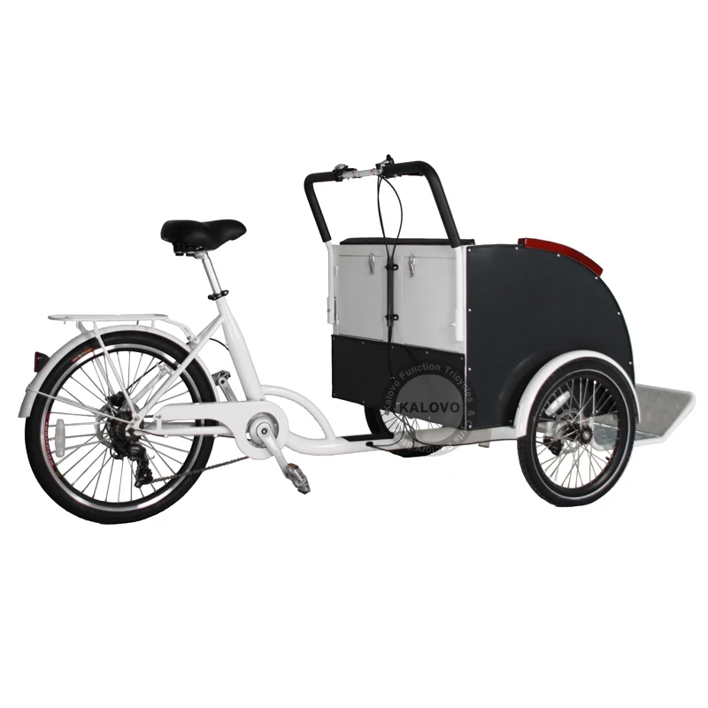 Paupières-Pousse-pousse électrique 36V 250W, tricycle pour