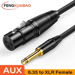 Premium Audio Cable for Musical Instruments and Sound Equipment (AUX 6.35 to XLR)