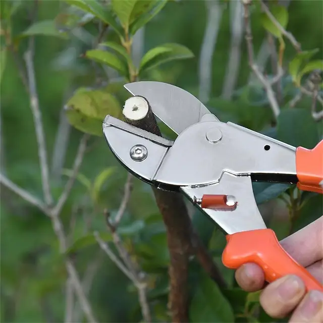 Kerti Prunin Secateurs Metsző Olló Olló, Gyümölcsfák, Vastag Ágak, Virág Erőteljes Metszés - Image 4