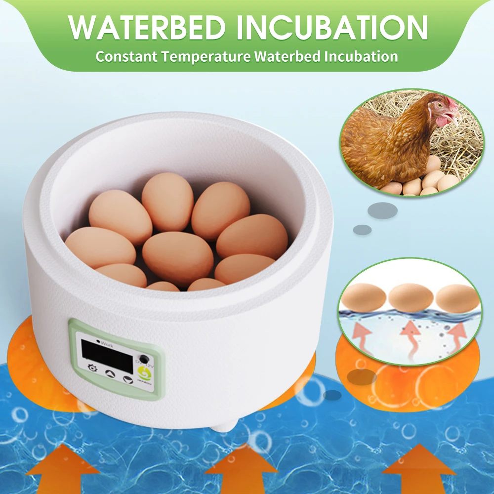 Egg Incubator for Chicken Duck and Bird 9 Eggs