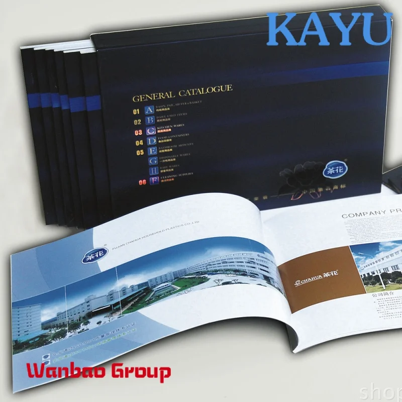 Custom  CMYK paper OEM design customized printing brochures, Manual, catalog printing flyer