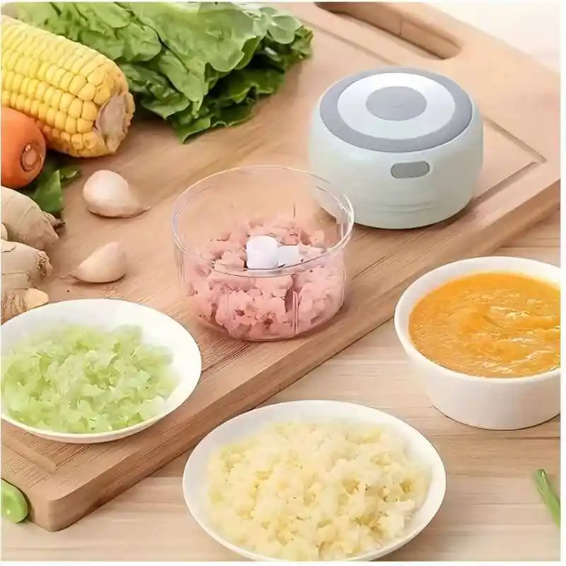 HOMEFISH USB Electric Garlic Chopper For Home Use