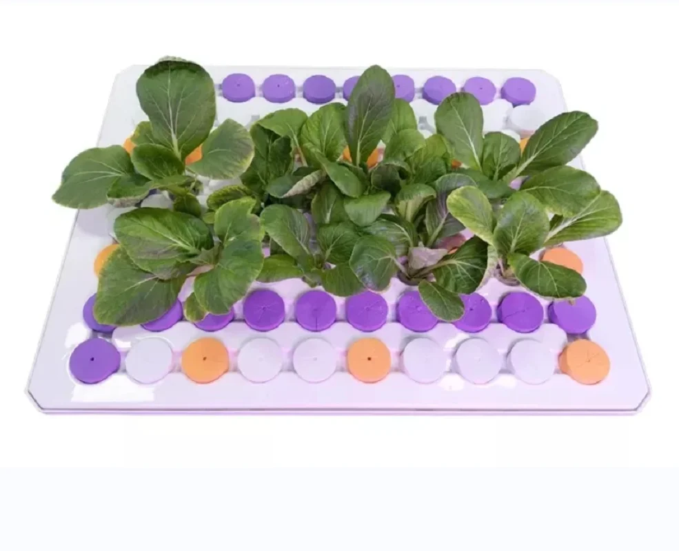 Hydroponic System Home Garden Vegetable Hydroponics Clone Tray ABS Nursery Pot Aeroponic Seed Planting Tray with Spray system