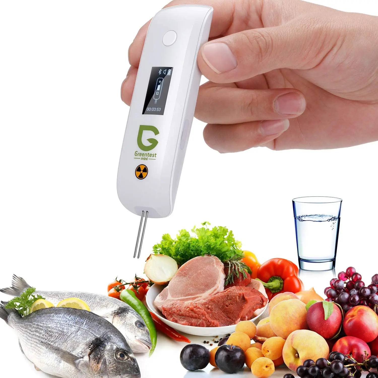 Greentest Mini Portable Digital Nitrate Fruit Tester Geigor Counter Water TDS Me