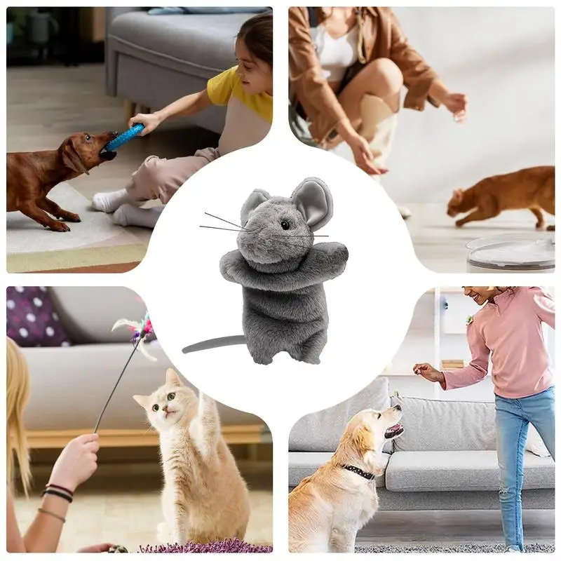 Arm Toy Boredom Buster Cat Toy Cat Wrestling Puppet Toy - Interactive Play Glove With Tough Padding For Safe Exercise Puppet Cat Toy Catsumo Puppet Arm Toy Boredom Buster Cat Toy Cat Wrestling Puppet Toy - Interactive Play Glove With Tough Padding For Safe Exercise Puppet Cat Toy Catsumo Puppet