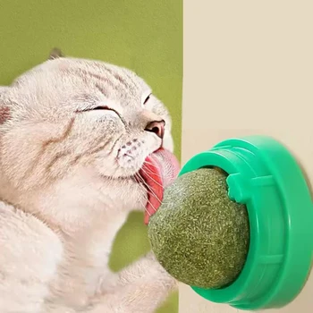 Cat Catnip Stick-on Wall Ball 1