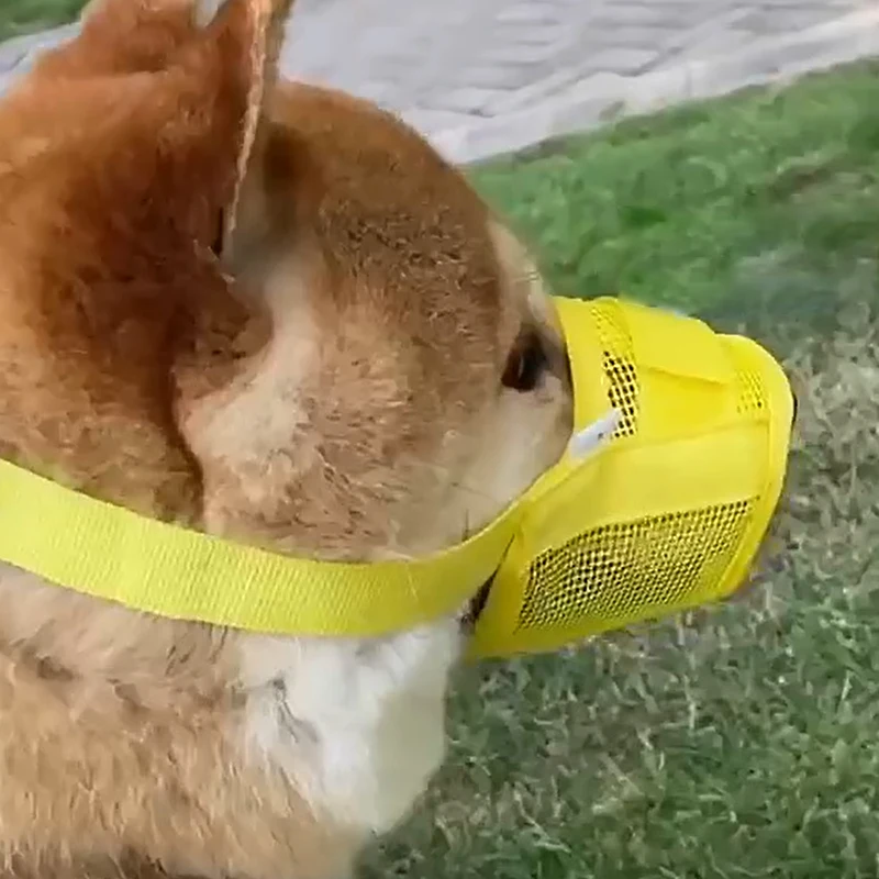 Nylon Mesh Breathable Dog Mouth Cover Quick Fit Dog Muzzle with Adjustable Straps Pet Mouth
